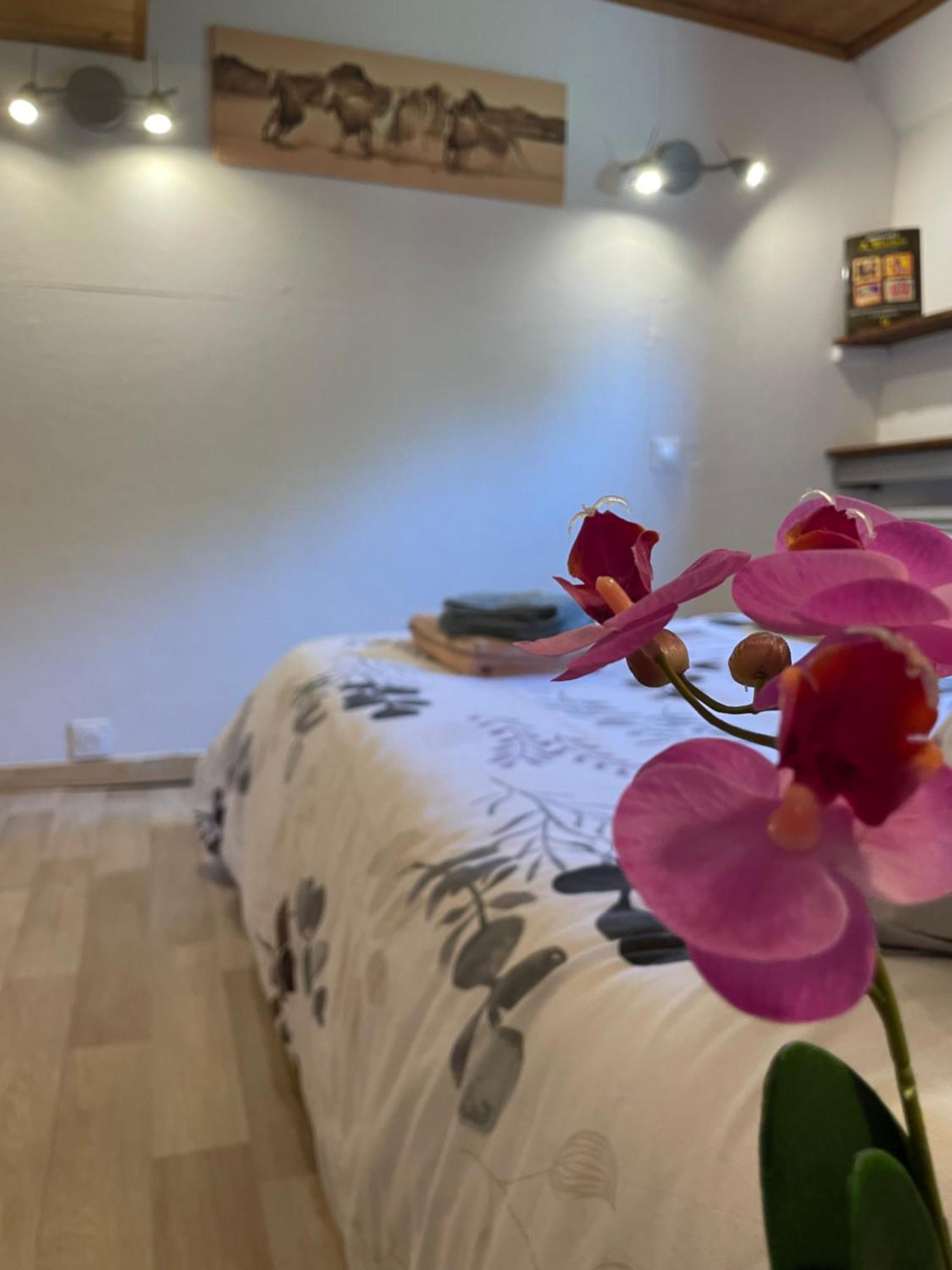Peniche Le Pescalune - Chambre D'Hotes 아흘르 외부 사진